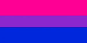 Bisexual Meaning, The Meaning of Bisexuality
