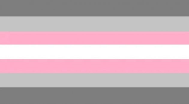 Demigender Girl Pride Flag.