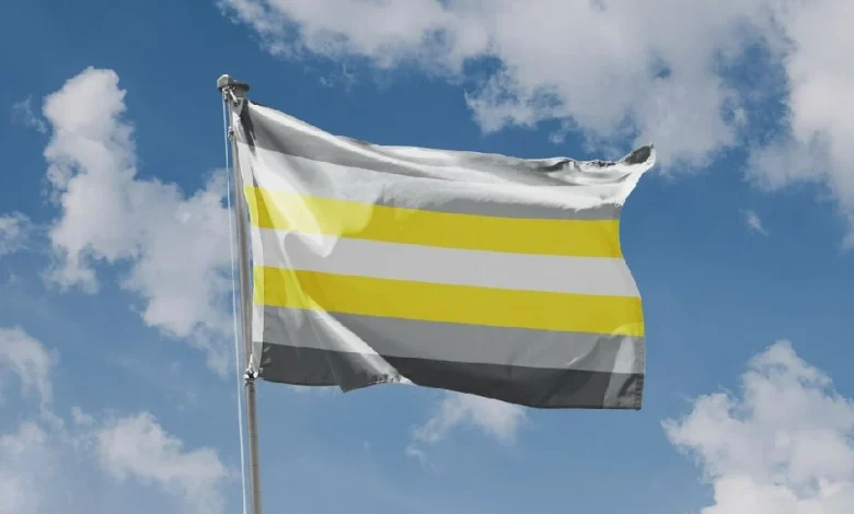 Demigender Pride Flag
