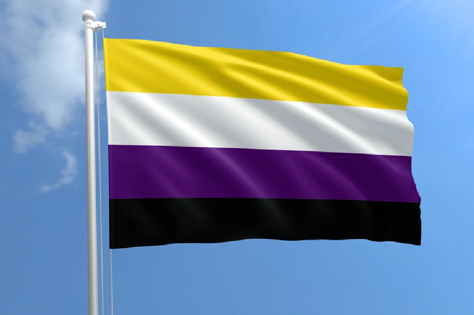 Definition Of Non Binary Meaning Of Non Binary Gender