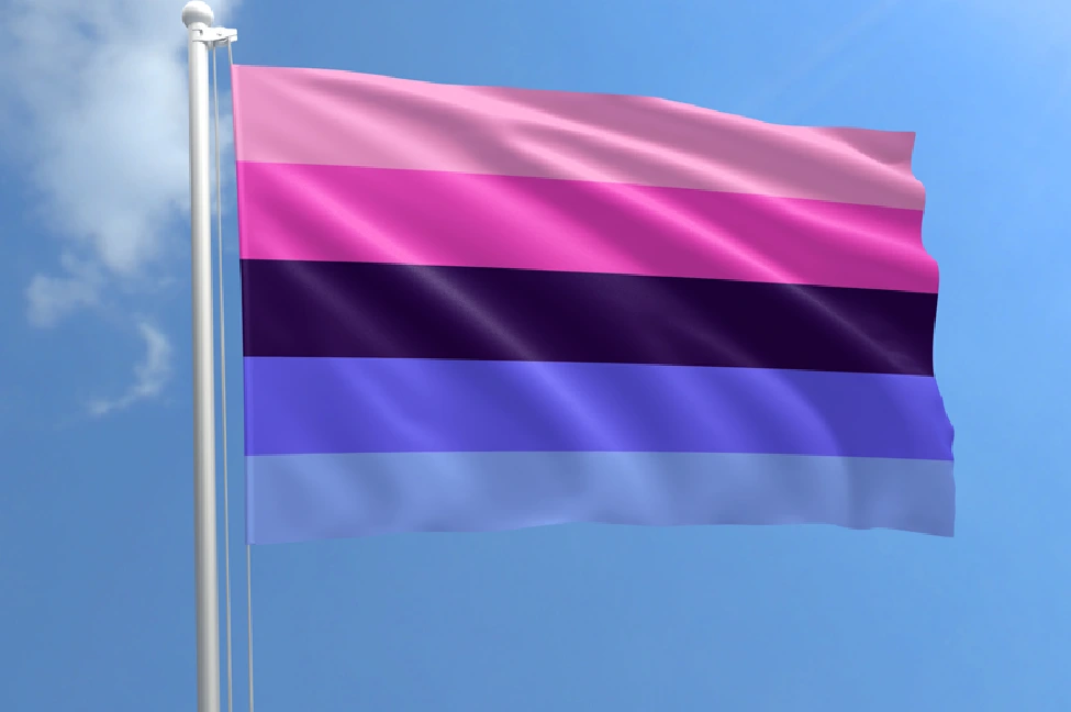 Omnisexual Pride Flag & Omnisexual Flag Meaning
