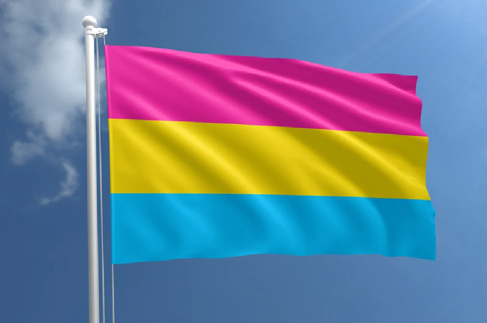 pansexual-pride-flag-pansexual-flag-meaning