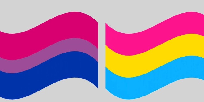 Bisesxual Flag and Pansexual Flag