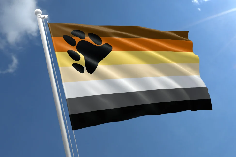 Bear Pride Flag & Bear Flag Meaning